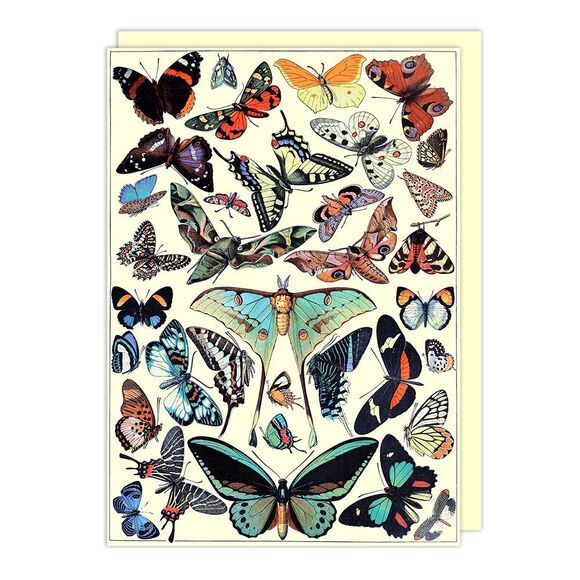 Madame Treacle Lot 3 Blank Greeting Cards Butterflies Print Vintage Collection - Picture 1 of 9